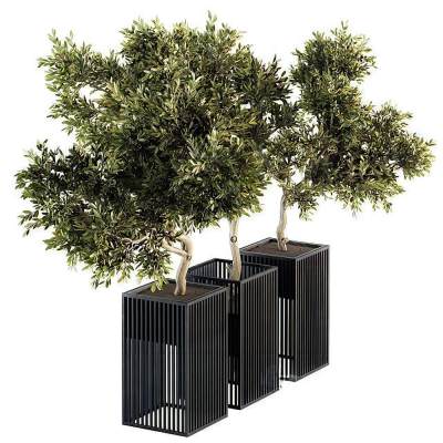 现代绿植盆栽-8